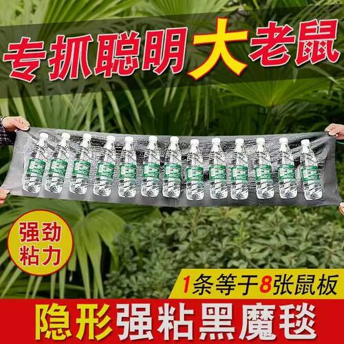 强力粘鼠板抓粘大老鼠贴胶捕鼠老鼠神器隐形家用大号灭黏粘鼠魔毯