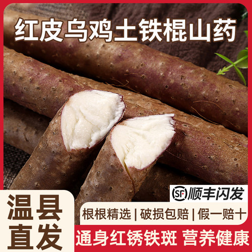 河南焦作新鲜红皮铁棍怀山药
