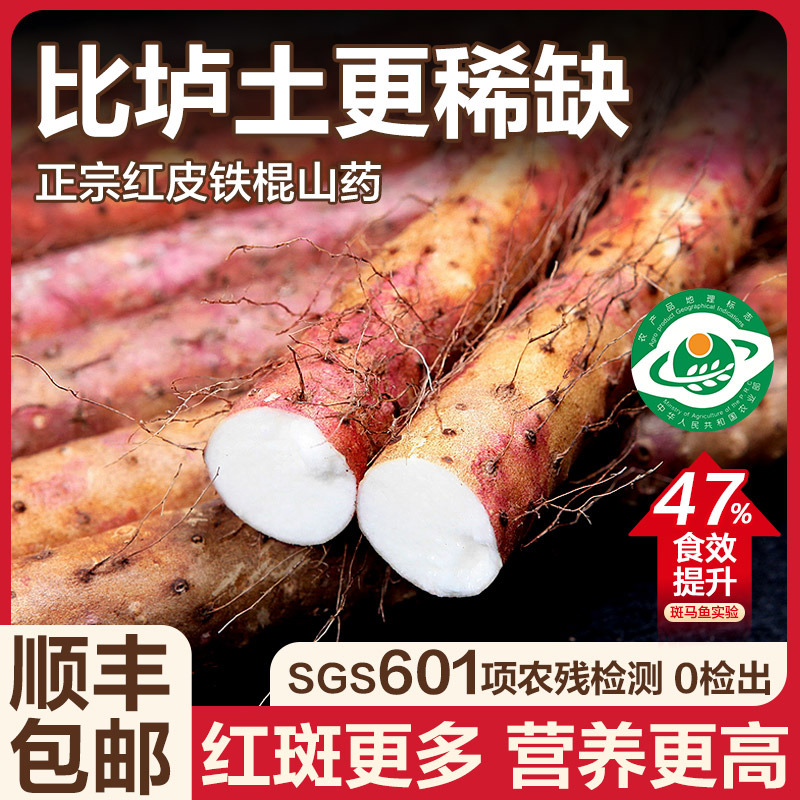 正宗温县红皮乌鸡土铁棍山药5斤