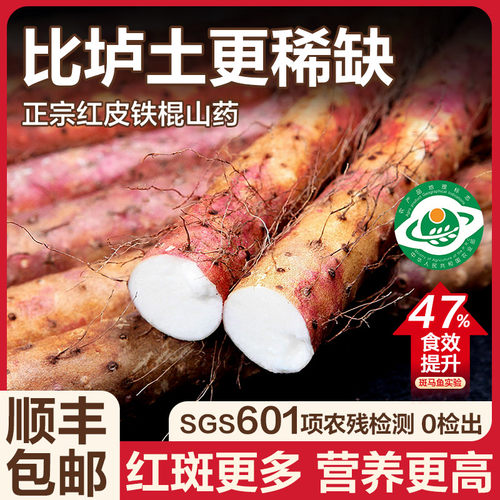 正宗温县红皮乌鸡土铁棍山药5斤