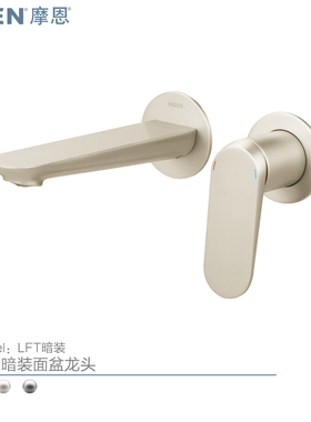 摩恩卢米入墙式洗脸盆龙头冷热水暗装水龙头58221