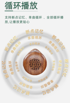 插卡音乐机高清音质播放器充电24小时循环播放器唱歌放歌机便携式