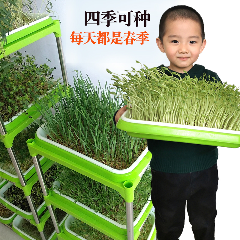森森农场