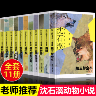 沈石溪激情动物小说狼王梦全本白狼世界板子猴老象恩仇记情神奇 12岁 警犬儿童文学四五六年级小学生课外阅读书动物世界儿童书籍8
