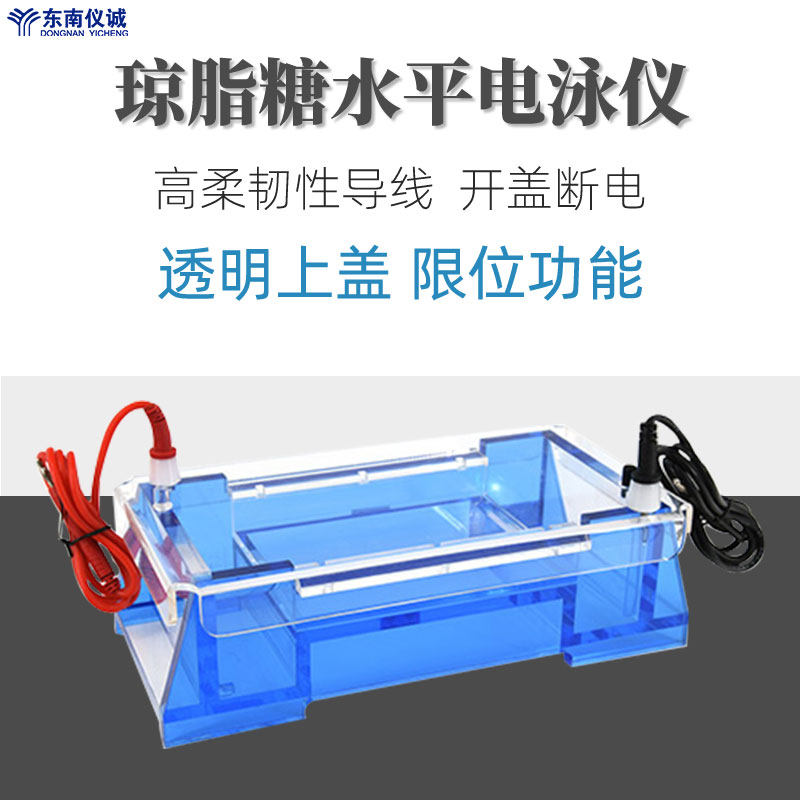 六一琼脂糖水平电泳仪DYCP-32A实验室DNA制备分子量测定电泳槽