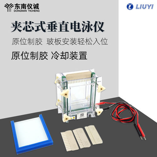 六一牌单板夹芯式垂直电泳仪