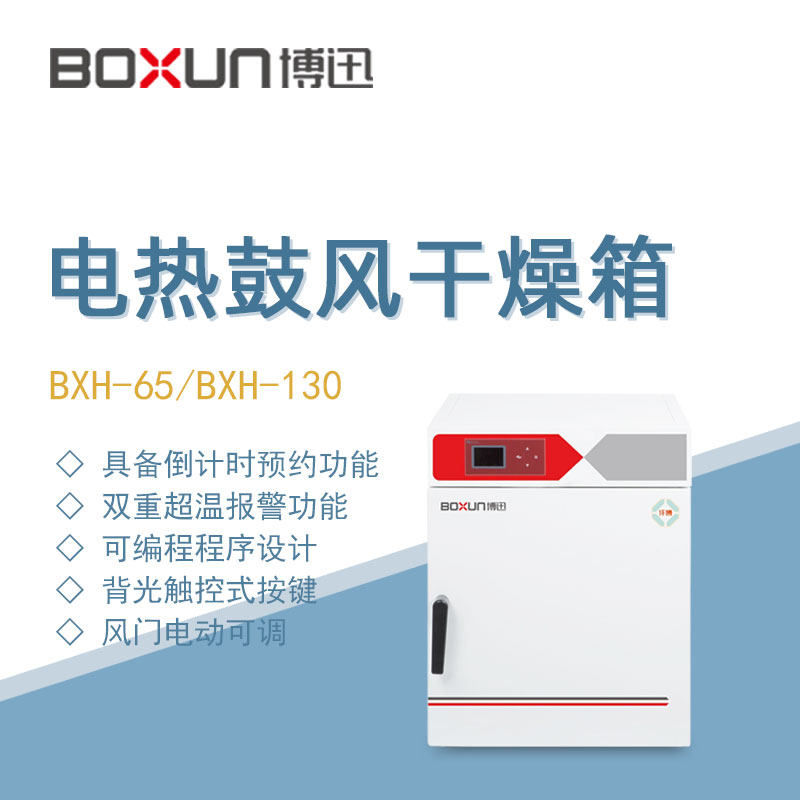 博迅干热灭菌箱BXH-65实验室生物制药样品高温干燥烘烤灭菌烘干箱
