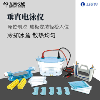 六一牌双板垂直电泳仪电泳槽