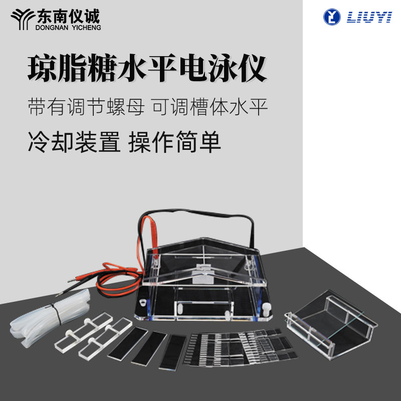 六一瓊脂糖水平電泳儀DYCP-31A實(shí)驗(yàn)DNA制備分子量測定凝膠電泳槽