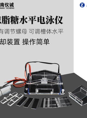 六一琼脂糖水平电泳仪DYCP-31A实验DNA制备分子量测定凝胶电泳槽