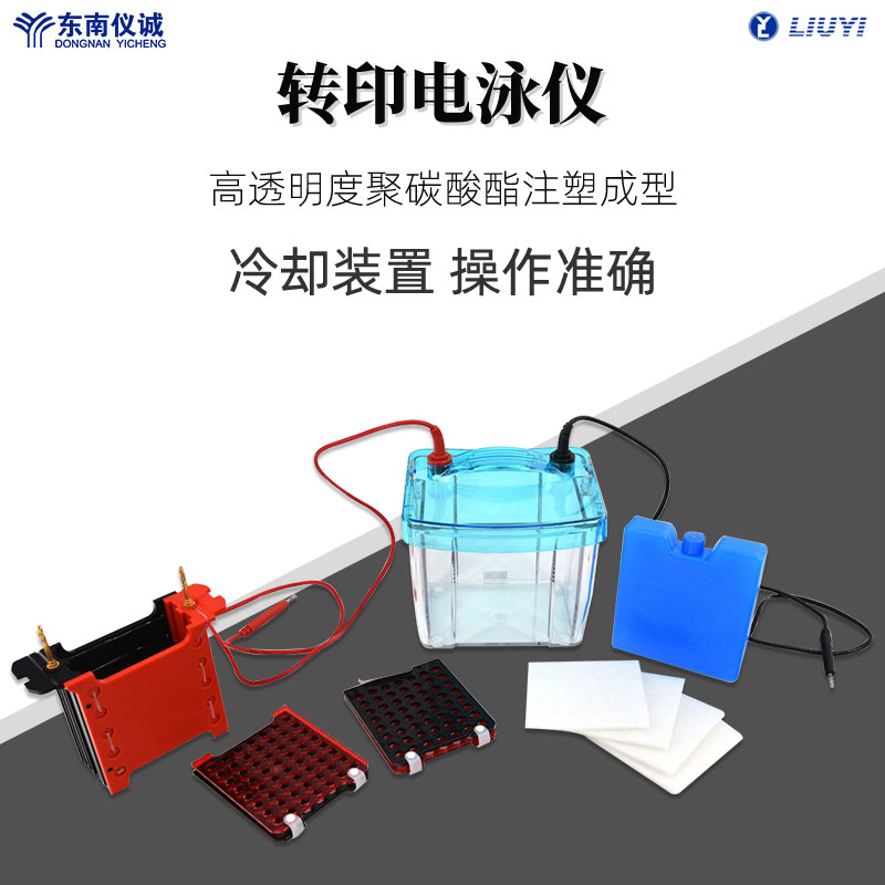 六一牌轉(zhuǎn)印電泳儀電泳槽