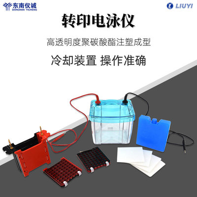 六一牌转印电泳仪电泳槽