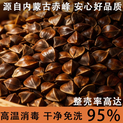 纯荞麦壳散装免洗儿童枕头枕芯全荞麦皮枕头成人学生宿舍大人家用