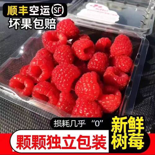 新鲜红树莓颗颗独立包装覆盆子