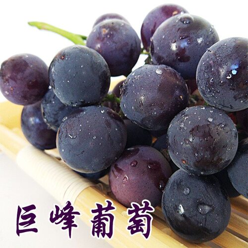 天然无害新鲜5斤装当季水果提子