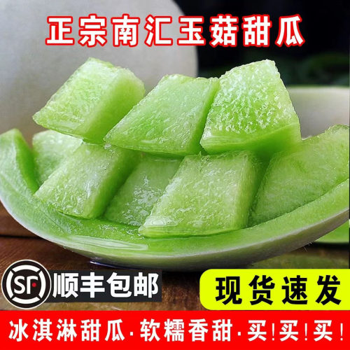 南汇玉菇甜瓜新鲜时令水果