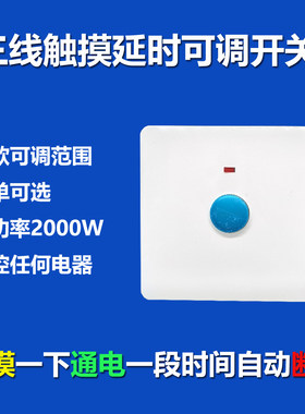 大蒲草品牌大功率2000W可调延时