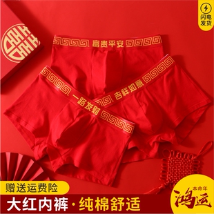本命年男内裤男士红色内裤纯棉透气平角裤大红男生结婚四角短裤头