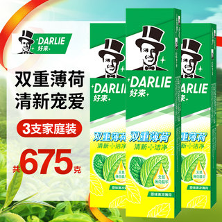 DARLIE/好来（原黑人）牙膏双重薄荷清新口气含氟大容量实惠装