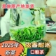 唐崖颂 恩施硒茶2025年春茶谷雨茶浓香型高山云雾炒青绿茶