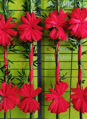 温州搬家新房乔迁植物装饰摆件