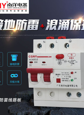 广东南洋电器漏电保护器家用总开关防雷浪涌电热水器断路器220V63