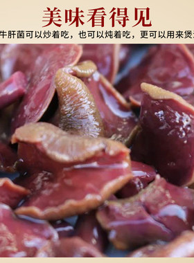 云南野生红乳牛肝菌煲汤涮火锅