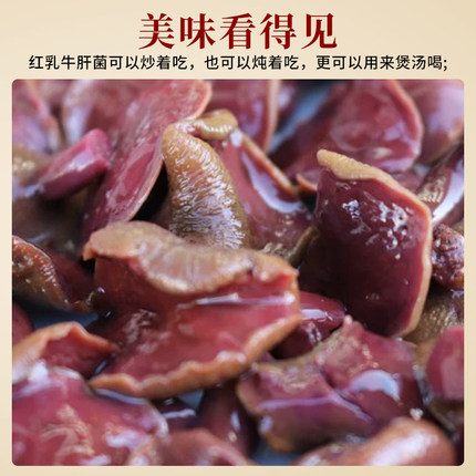 云南野生红乳牛肝菌煲汤涮火锅凉拌菜特色食材商用新鲜特色菜蘑菇