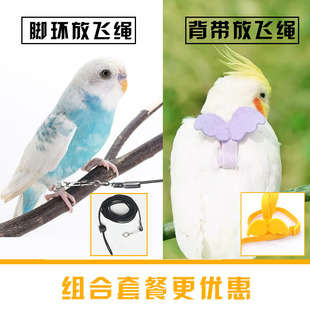 虎皮玄风牡丹鹦鹉放飞绳飞行绳外出遛鸟绳训练绳牵引绳宠物鸟用