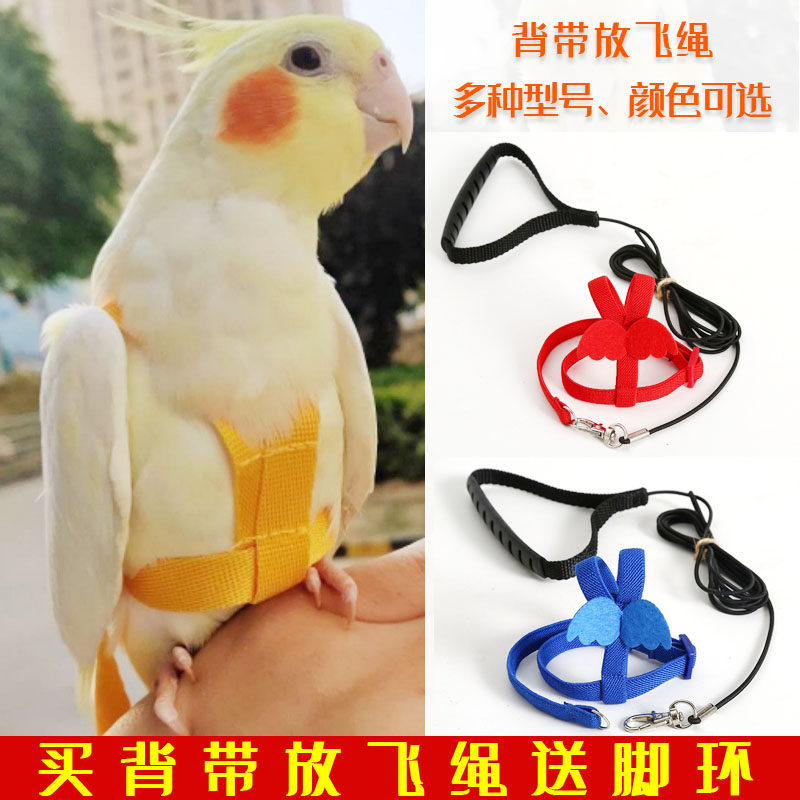 虎皮玄风牡丹鹦鹉背带放飞绳飞行绳外出遛鸟绳训练绳牵引绳鸟用
