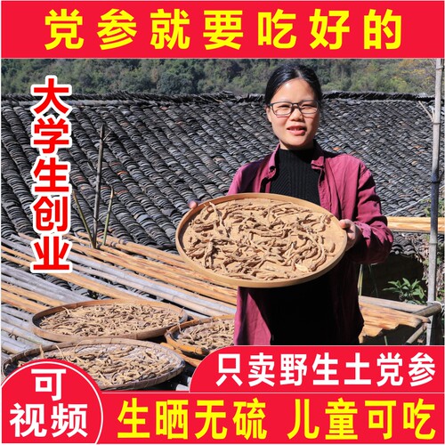 正宗野生土党参干农家晒野党参条
