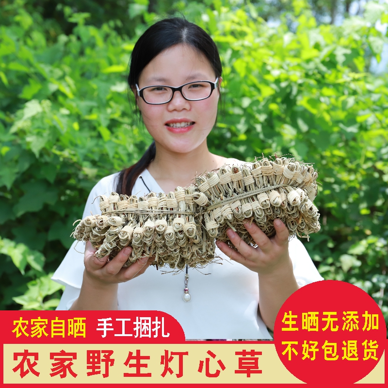 广东当季灯芯草干10排100个农家晒灯心草灯芯花新货龙须草赤须心 传统滋补营养品 其他药食同源食品 原图主图