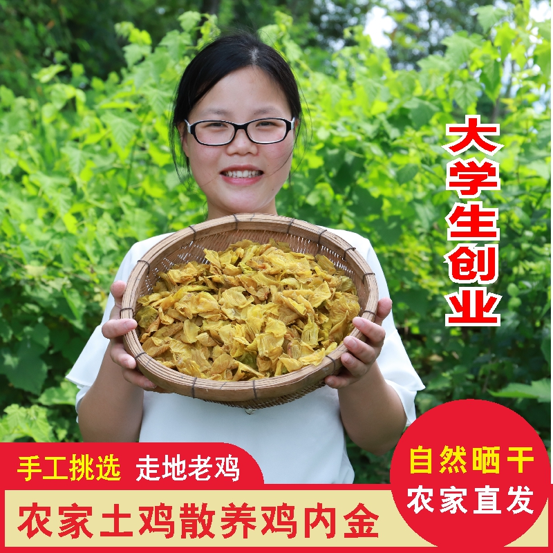 農家散養土雞雞內金生曬雞內金片