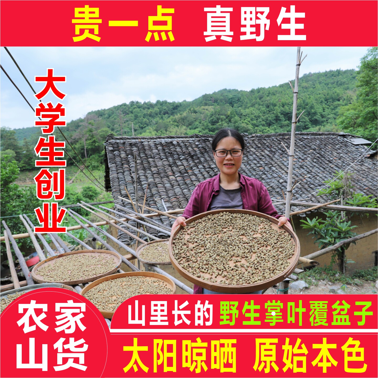 野生正品覆盆子500g中药材深山掌叶覆盆子果覆盘子复盆子覆盆子茶