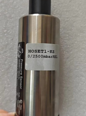 HOPPE Hoset1-kS HCG2011 MO4 P1 0/2500mb 压载探头