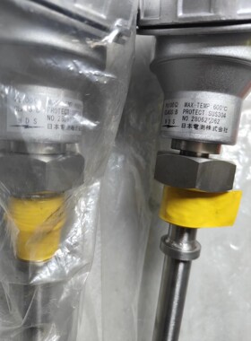 PT100 600° L200mm NDS 温度传感器