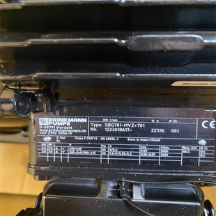 MVZ 701 SBG781 德国BRINKMANN布曼泵