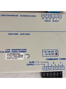 压载水用安全栅 BXNE342002 ORDERING-CODE