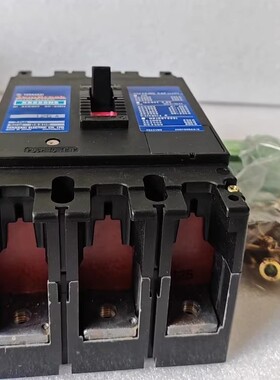 XS225NS 125A 175A TERASAKI寺崎 断路器