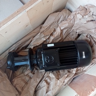 德国BRINKMANN布曼泵体 4PUSP4BS-025000 高压泵 提升泵