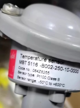 084Z8255 L-250mm -50--600° 温度传感器