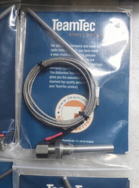 teamtec 6437 直径6mm L115mm 线长1400mm 温度探头