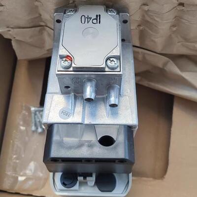 VPS504S02 DUNGS 检漏装置