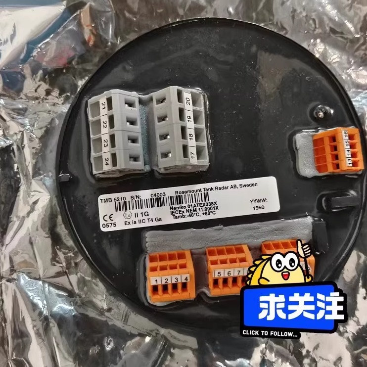 Rosemount罗斯蒙特 TMB5210 温度模块