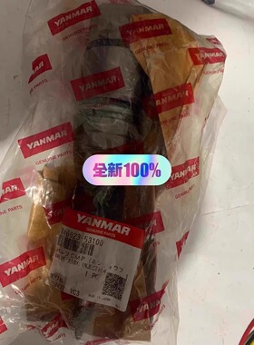 VVO-U935N-E-C-W WOODWARD 雾化头