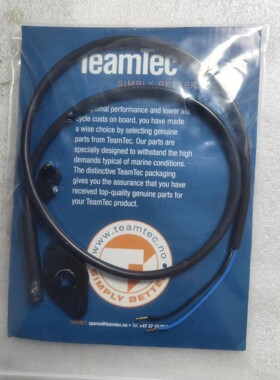 TEAMTEC ART.no. 7587 QRB1A 一套 焚烧炉感光探头