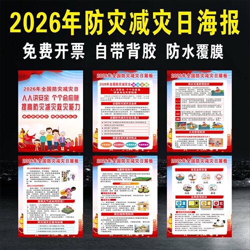 2026年国际减灾日宣传海报防灾减