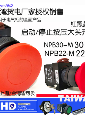 平头带灯按钮开关AR22FOL AR30  AR22F0L F5L  E3 E4 10 11 G