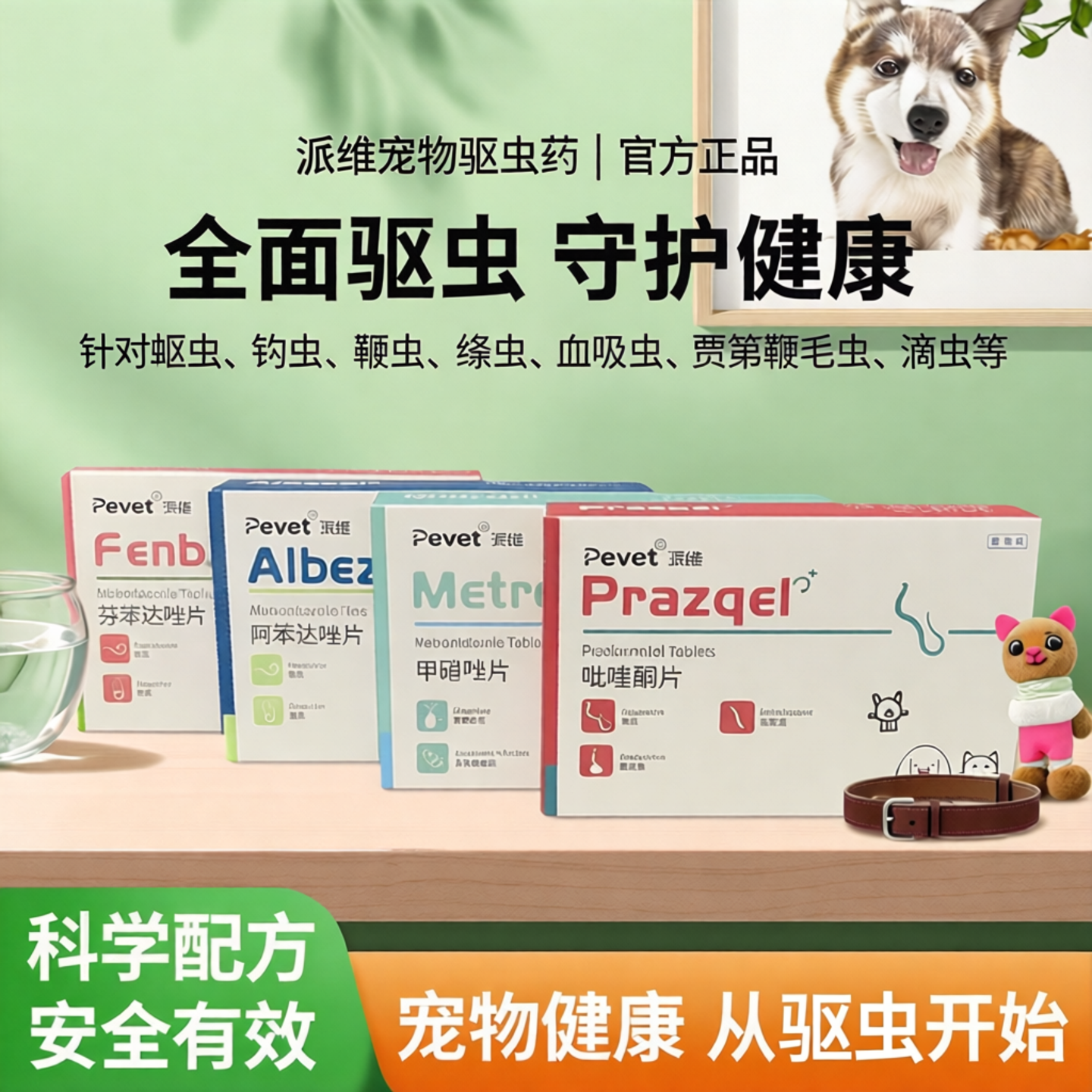 派维猫狗体内驱虫治疗滴虫贾第鞭毛虫蛔虫钩虫鞭虫绦虫血吸虫