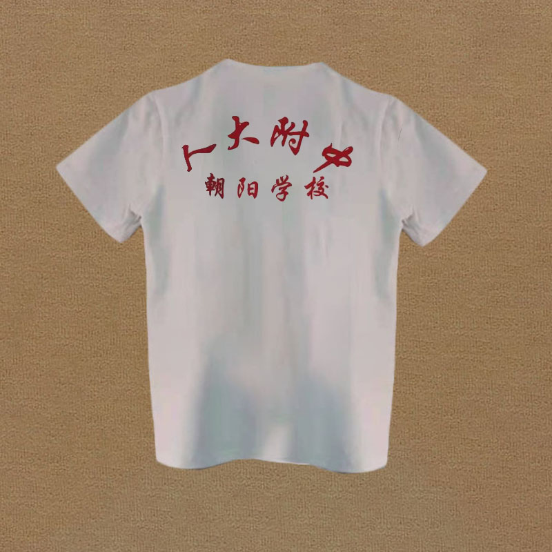 夏季人大附中学朝阳校校服薄款纯棉宽松版短袖圆领T恤可定制印字